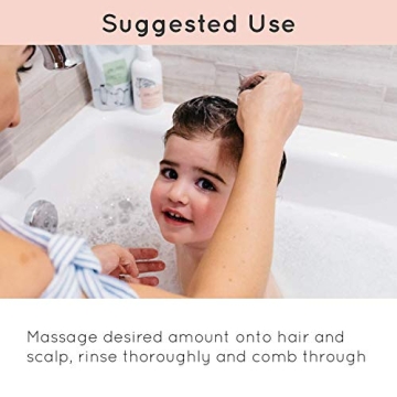 Gryph and IvyRose Daily Embrace 2-in-1 Sulfate Free and Paraben Free Shampoo and Conditioner - Soft Hair Hydration Shampoo/Conditioner - Goji Berry & Ginger (1-Pack)