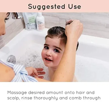 Gryph and IvyRose Daily Embrace 2-in-1 Sulfate Free and Paraben Free Shampoo and Conditioner - Soft Hair Hydration Shampoo/Conditioner - Goji Berry & Ginger (1-Pack)