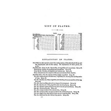 Langstroth's Hive and the Honey-Bee Classic Manual