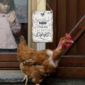 Chicken Coop Accessories Signs Chicken Decor Signs Outdoor, Spoiled Chickens Lay Better Eggs Funny Chicken Signs, 8×12 inches Chicken Sign for Coop, Home Kitchen Gate Fence Yard Chicken Gifts