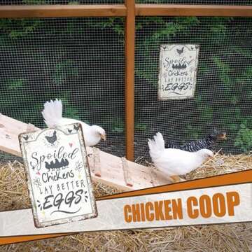 Chicken Coop Accessories Signs Chicken Decor Signs Outdoor, Spoiled Chickens Lay Better Eggs Funny Chicken Signs, 8×12 inches Chicken Sign for Coop, Home Kitchen Gate Fence Yard Chicken Gifts