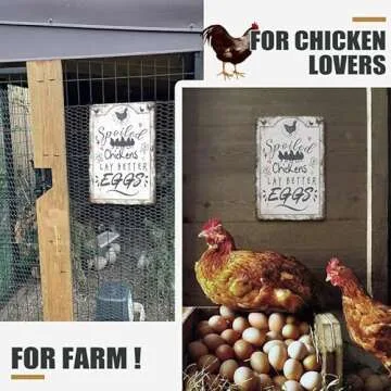 Chicken Coop Accessories Signs Chicken Decor Signs Outdoor, Spoiled Chickens Lay Better Eggs Funny Chicken Signs, 8×12 inches Chicken Sign for Coop, Home Kitchen Gate Fence Yard Chicken Gifts