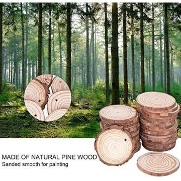 Wood Ornaments 30 Pcs 2.3-2.8 Inches, Gbivbe Wood Slices Unfinished Natural Wooden Predrilled Wood Craft Kit with Hole Wooden Circles Tree Slices for Arts and Crafts, Christmas Ornament DIY Crafts