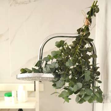 Fresh Eucalyptus for Shower Bundle in a Box | Add a Luxurious Touch of Natural Aromatherapy to Your Shower | Freshly Handpicked & 100% Natural | Relieves Stress & Anxiety - Perfect for Self Care