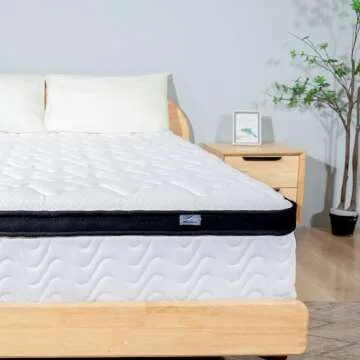 MOLBIUS Full Size Mattress 10 Inch | Full Mattresses in a Box Hybrid | Medium Firm Feel Memory Foam and Individual Pocket Springs | Fiberglass Free Bed Matress | Breathable | CertiPUR-US | Upgrade