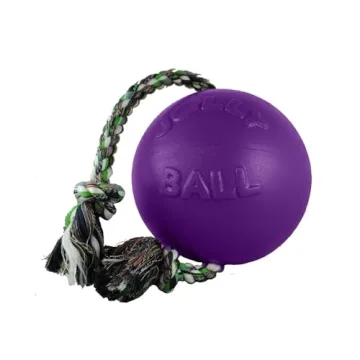 Jolly Pets Romp-N-Roll Dog Toy Purple 6 Inch Fun