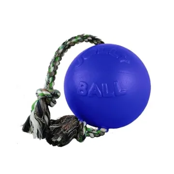 Jolly Pets Romp-N-Roll Dog Toy Purple 6 Inch Fun