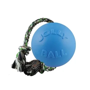 Jolly Pets Romp-N-Roll Dog Toy Purple 6 Inch Fun
