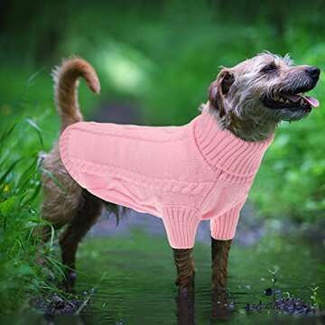 Queenmore Small Dog Pullover Sweater for Winter Comfort