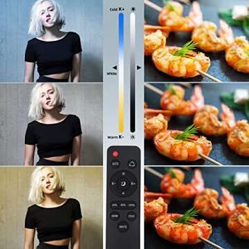 Skytex Softbox Lighting Kit for Photography and Video