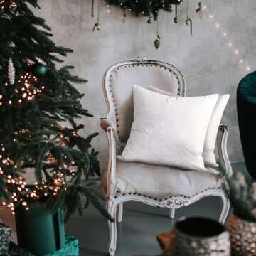 Blue Ridge Home Fashions, 26x26 Feather Euro (2 Pack),Hypoallergenic European Sleep Pillow Inserts Sham Square Form, 2 Count (Pack of 1), White