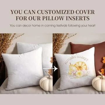 Blue Ridge Home Fashions, 26x26 Feather Euro (2 Pack),Hypoallergenic European Sleep Pillow Inserts Sham Square Form, 2 Count (Pack of 1), White