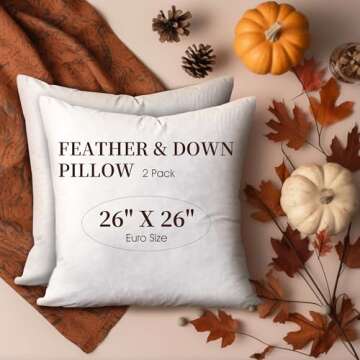 Blue Ridge Home Fashions, 26x26 Feather Euro (2 Pack),Hypoallergenic European Sleep Pillow Inserts Sham Square Form, 2 Count (Pack of 1), White