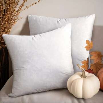 Blue Ridge Home Fashions, 26x26 Feather Euro (2 Pack),Hypoallergenic European Sleep Pillow Inserts Sham Square Form, 2 Count (Pack of 1), White