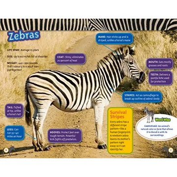 Amazing Animal Journeys Book for Young Readers