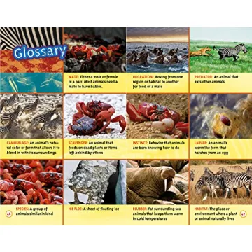 Amazing Animal Journeys Book for Young Readers