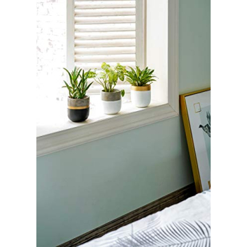 Chic 4 Inch Indoor Succulent Pots for Stylish Decor