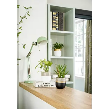 Chic 4 Inch Indoor Succulent Pots for Stylish Decor