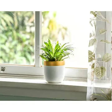 Chic 4 Inch Indoor Succulent Pots for Stylish Decor