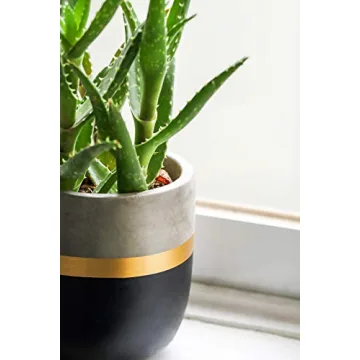 Chic 4 Inch Indoor Succulent Pots for Stylish Decor