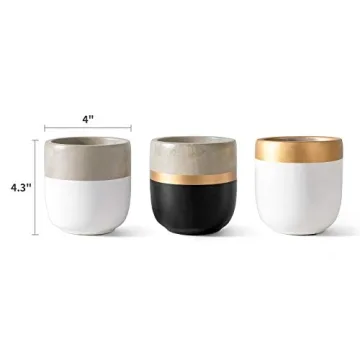 Chic 4 Inch Indoor Succulent Pots for Stylish Decor