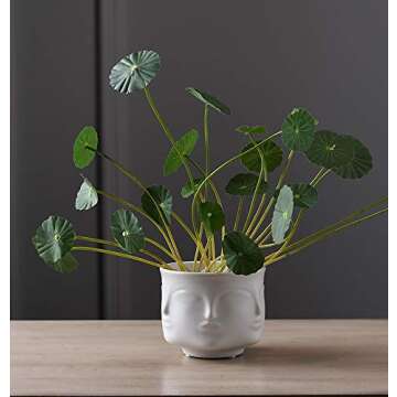 Poitemsic Personality White Ceramic Small Succulent Cactus Face Planter Head Face Flowers Plant Pots Vase