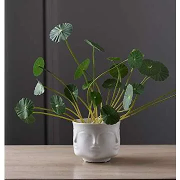 Poitemsic Personality White Ceramic Small Succulent Cactus Face Planter Head Face Flowers Plant Pots Vase