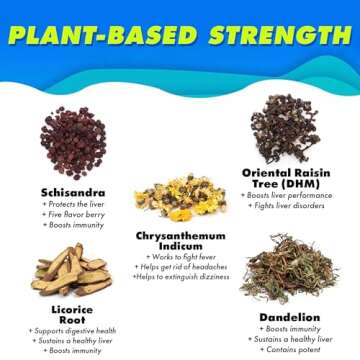 The Plug Herbal Detox Drink for Liver Health & Energy