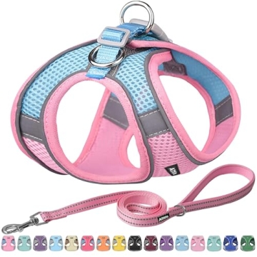 AIITLE No Pull Dog Harness & Leash Set - Comfortable, Reflective, Adjustable for Small/Medium Dogs