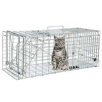 ANT MARCH Live Animal Cage Trap for Safe Wildlife Control