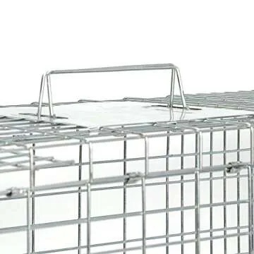 ANT MARCH Live Animal Cage Trap for Safe Wildlife Control