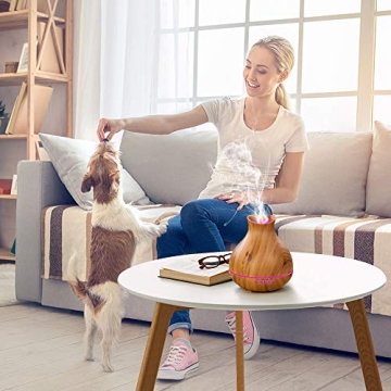 BZseed Aroma Diffuser 550ml with Timer and Auto Shut-off