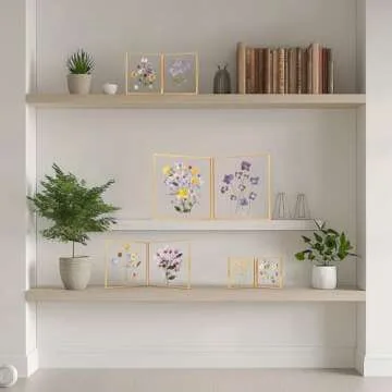 Elegant Double Glass Picture Frame for Cherished Memories