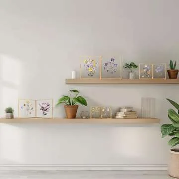 Elegant Double Glass Picture Frame for Cherished Memories