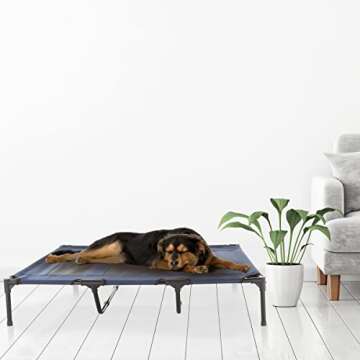 Portable Elevated Dog Bed for Pets up to 110lbs - Blue