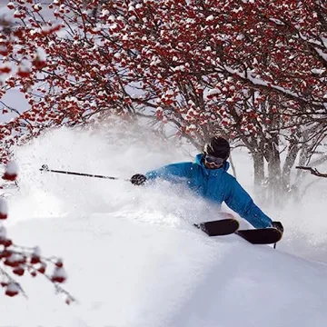 COTRUERE 3 Pairs Unisex Winter Magic Knit Gloves