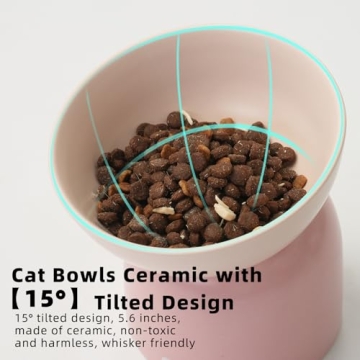Chic MS! Elevated Ceramic Cat and Dog Bowls