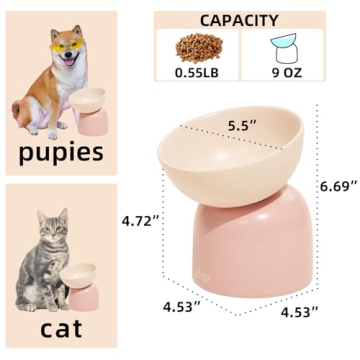 Chic MS! Elevated Ceramic Cat and Dog Bowls