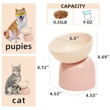 Chic MS! Elevated Ceramic Cat and Dog Bowls