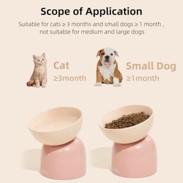 Chic MS! Elevated Ceramic Cat and Dog Bowls