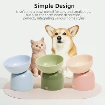 Chic MS! Elevated Ceramic Cat and Dog Bowls