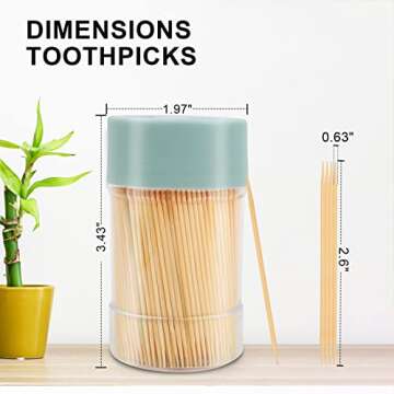 Eco-Friendly TRTRin Bamboo Toothpicks [3000 Count] for Parties