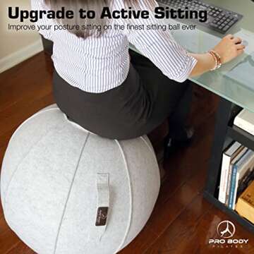 ProBody Pilates Yoga Ball Chair - Exercise Ball Chair for Office Desk