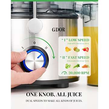 1200W GDOR Juicer with Titanium Disc, 3-Inch Chute