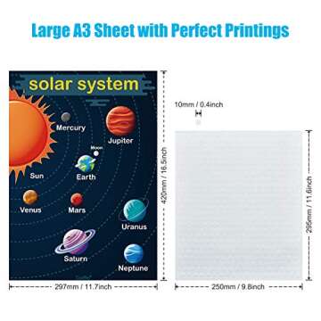 35 Educational Toddler Posters for Homeschooling