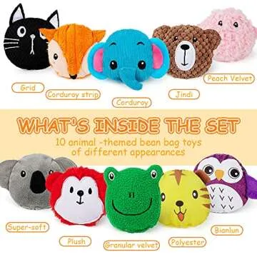 teytoy Sensory Bean Bag for Kids 10 Pack,Texture Sensory Beanbags,Sensory Toys for Autism,Animal Sensory Fine Motor Toys with Storage Bag for Boys and Girls