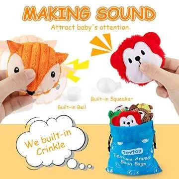 teytoy Sensory Bean Bag for Kids 10 Pack,Texture Sensory Beanbags,Sensory Toys for Autism,Animal Sensory Fine Motor Toys with Storage Bag for Boys and Girls