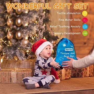 teytoy Sensory Bean Bag for Kids 10 Pack,Texture Sensory Beanbags,Sensory Toys for Autism,Animal Sensory Fine Motor Toys with Storage Bag for Boys and Girls