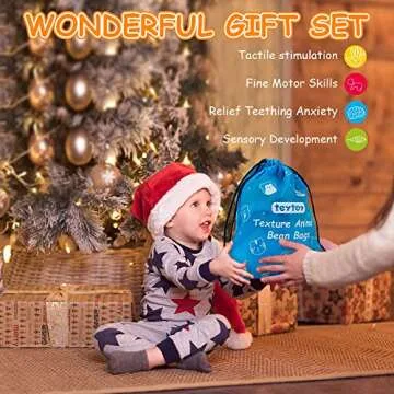 teytoy Sensory Bean Bag for Kids 10 Pack,Texture Sensory Beanbags,Sensory Toys for Autism,Animal Sensory Fine Motor Toys with Storage Bag for Boys and Girls