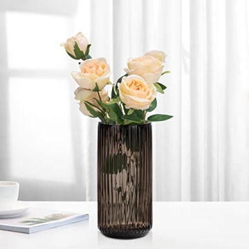 TIMEFOTO Flower Vase 9.7 inch Elegant Thick Glass Design